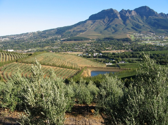 Morgenster Estate